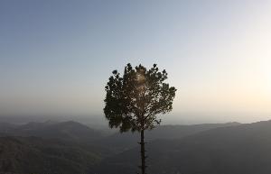Fortramshehar.com